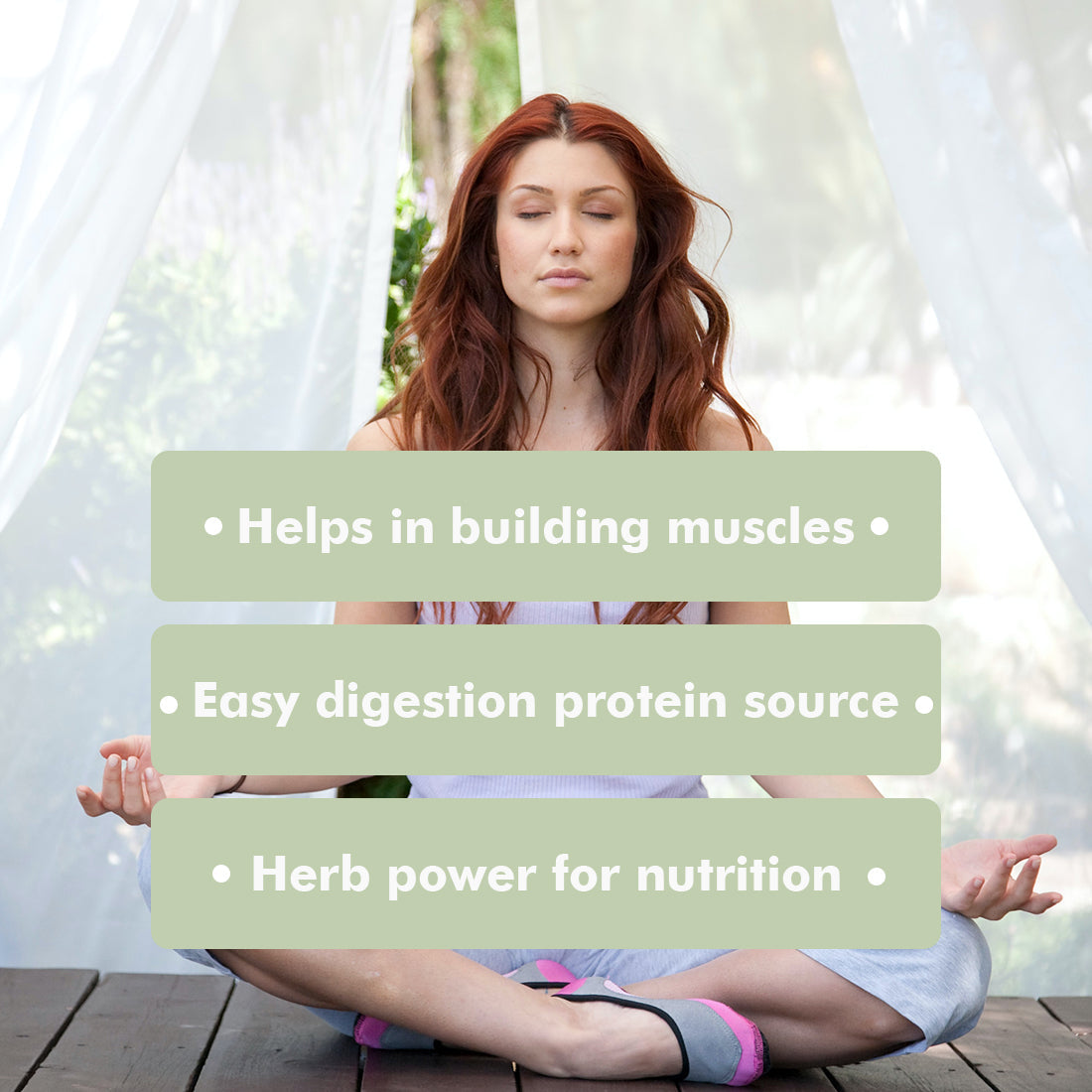 Amaara herbs Herb Based Protein Vanilla - 600 gms